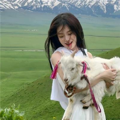 总裁夫人又美又飒